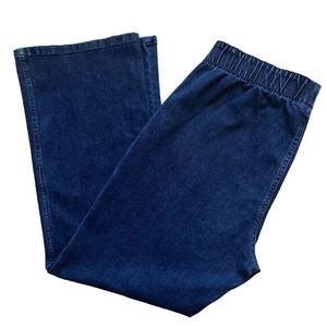 SOFT SURROUNDINGS ELASTIC WAIST BLUE JEANS SIZE  XL PETITE